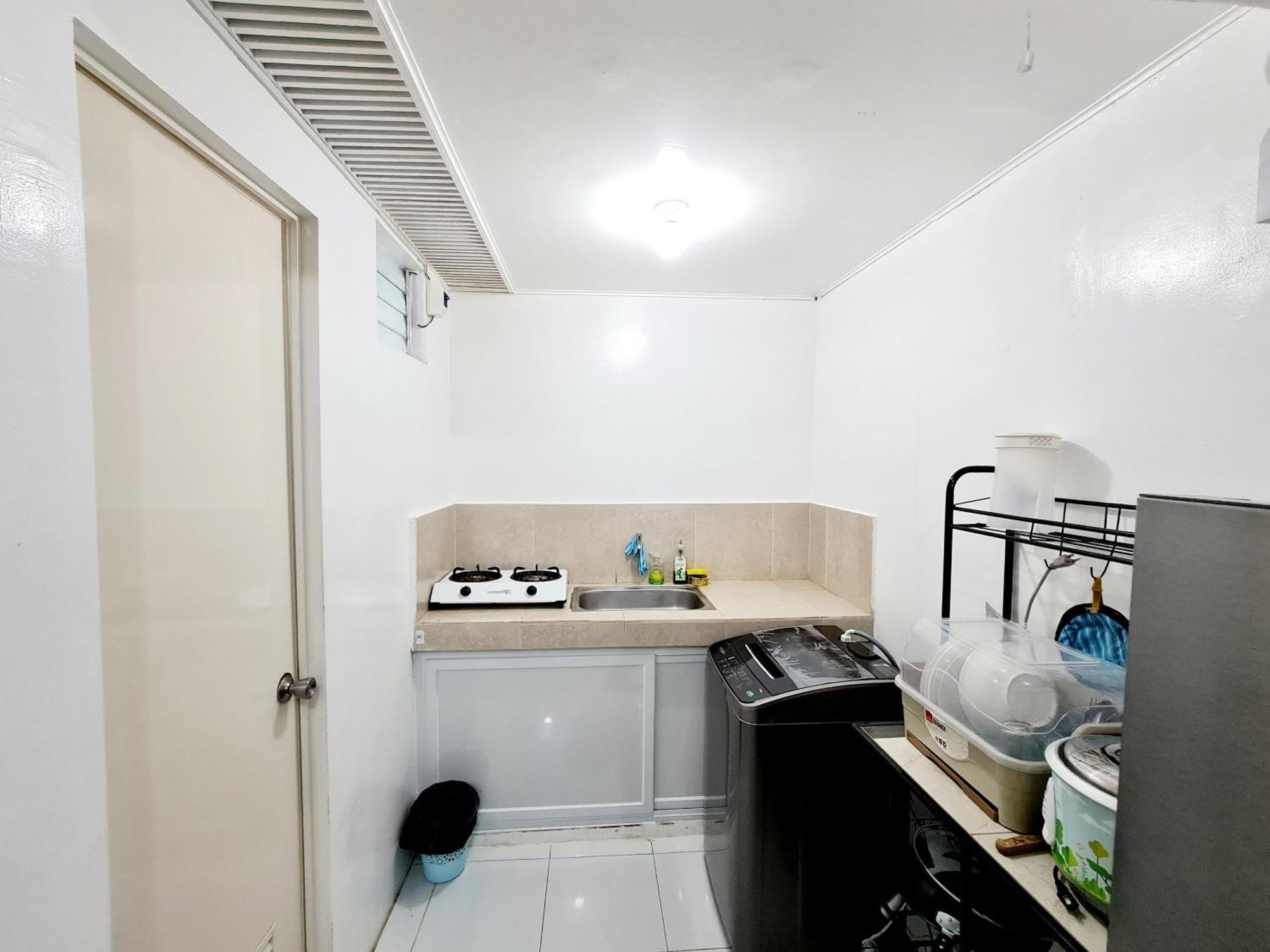 Transient Maple L82 * Calapan